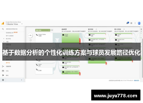 基于数据分析的个性化训练方案与球员发展路径优化