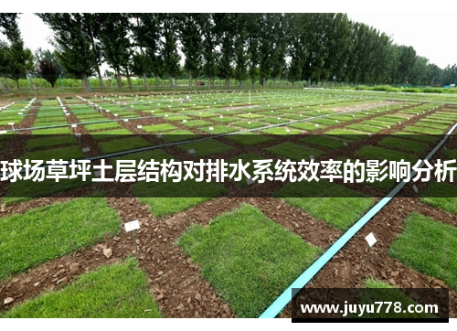 球场草坪土层结构对排水系统效率的影响分析